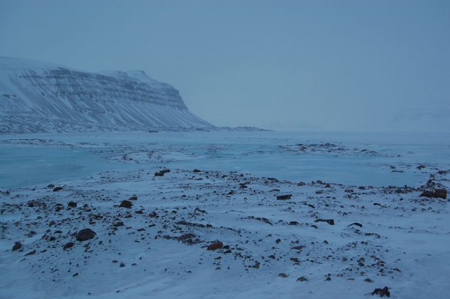 Svalbard winter